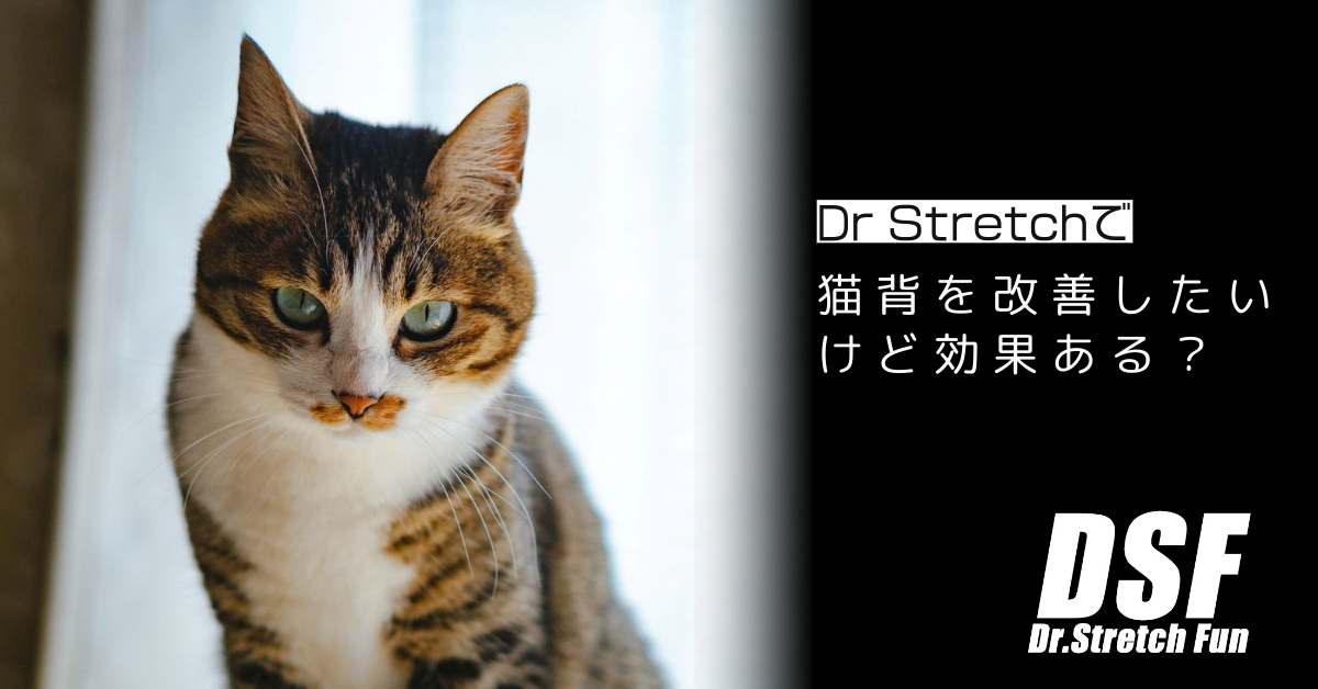 ドクターストレッチで猫背を改善